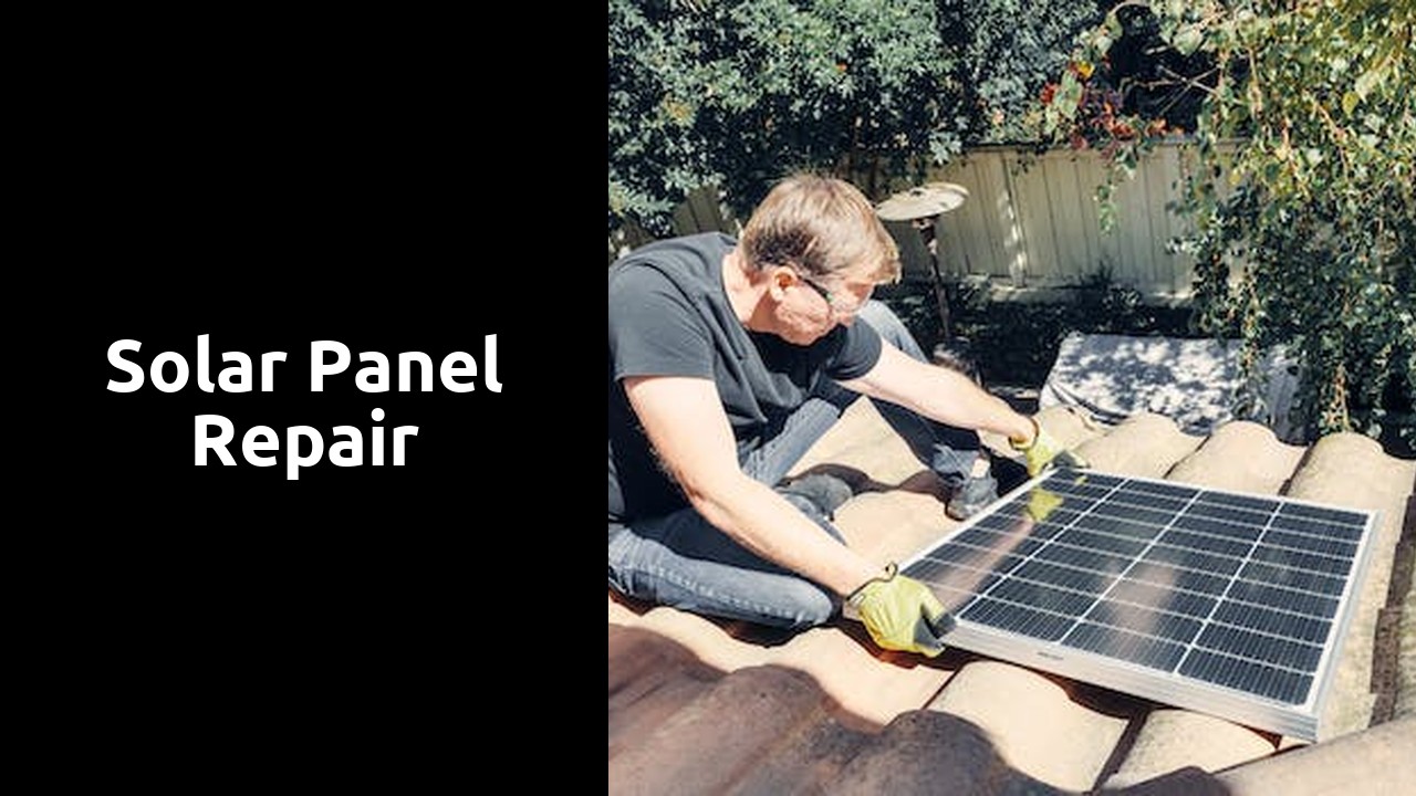 Solar Panel Repair